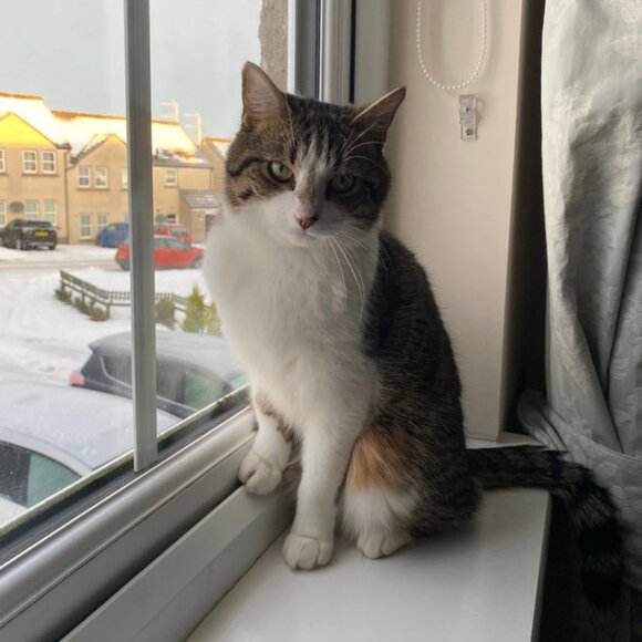 Meet your Posher, Nguyetnga - Picture 1 of 1